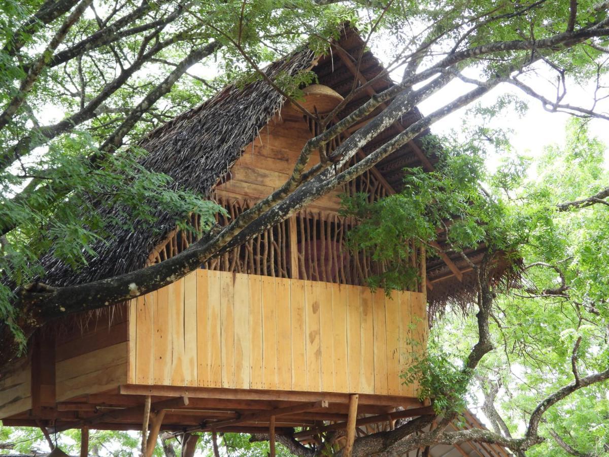 Yala Village Eco Tree House ทิซซามาฮารามา ภายนอก รูปภาพ