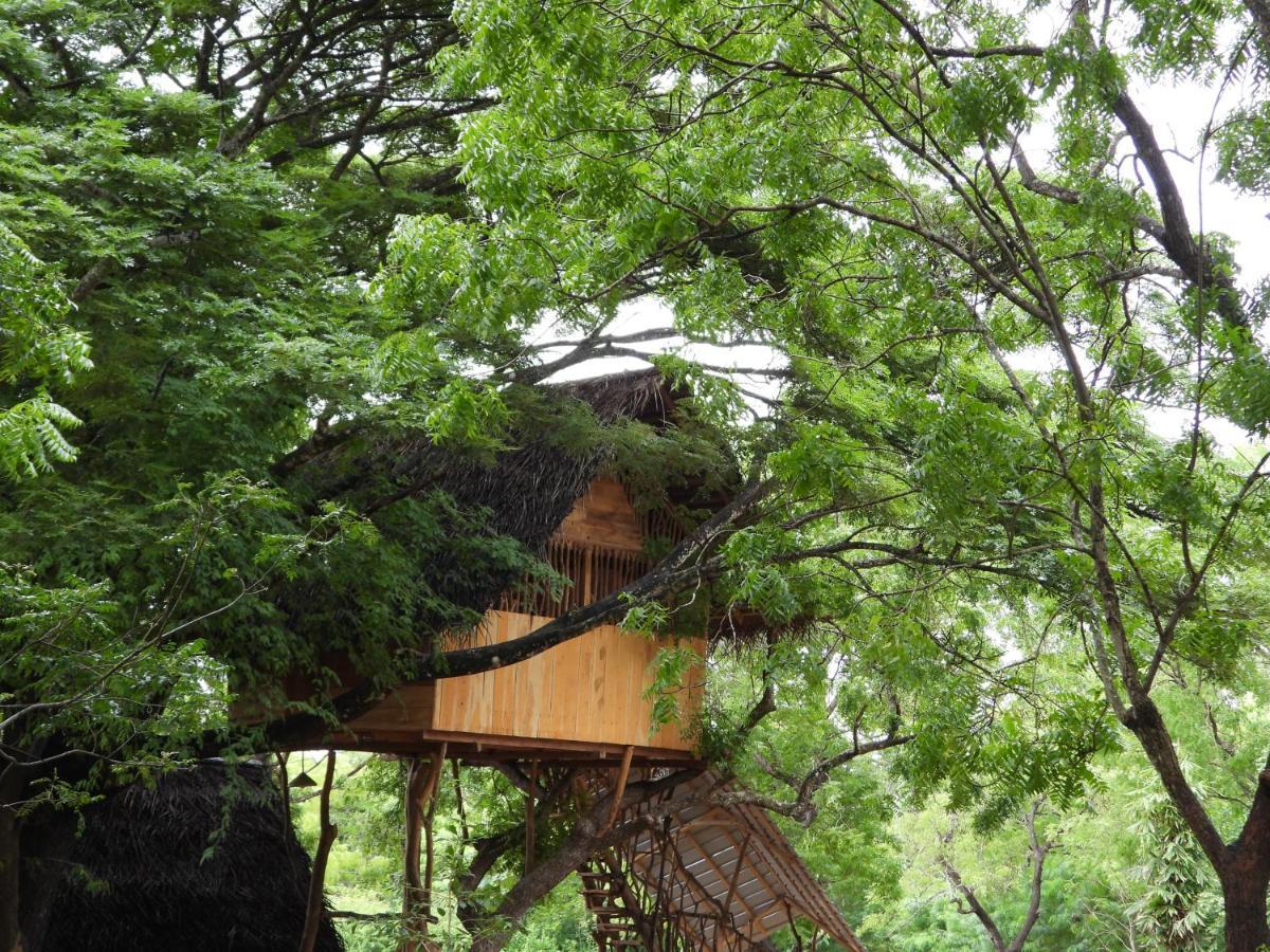 Yala Village Eco Tree House ทิซซามาฮารามา ภายนอก รูปภาพ