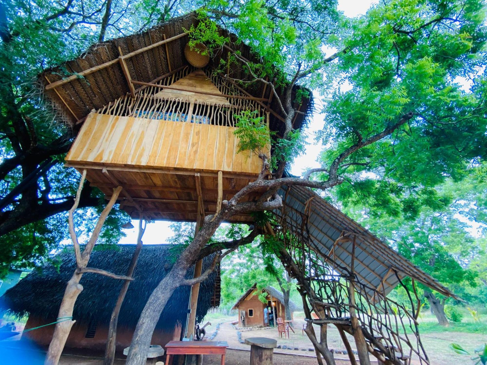 Yala Village Eco Tree House ทิซซามาฮารามา ภายนอก รูปภาพ
