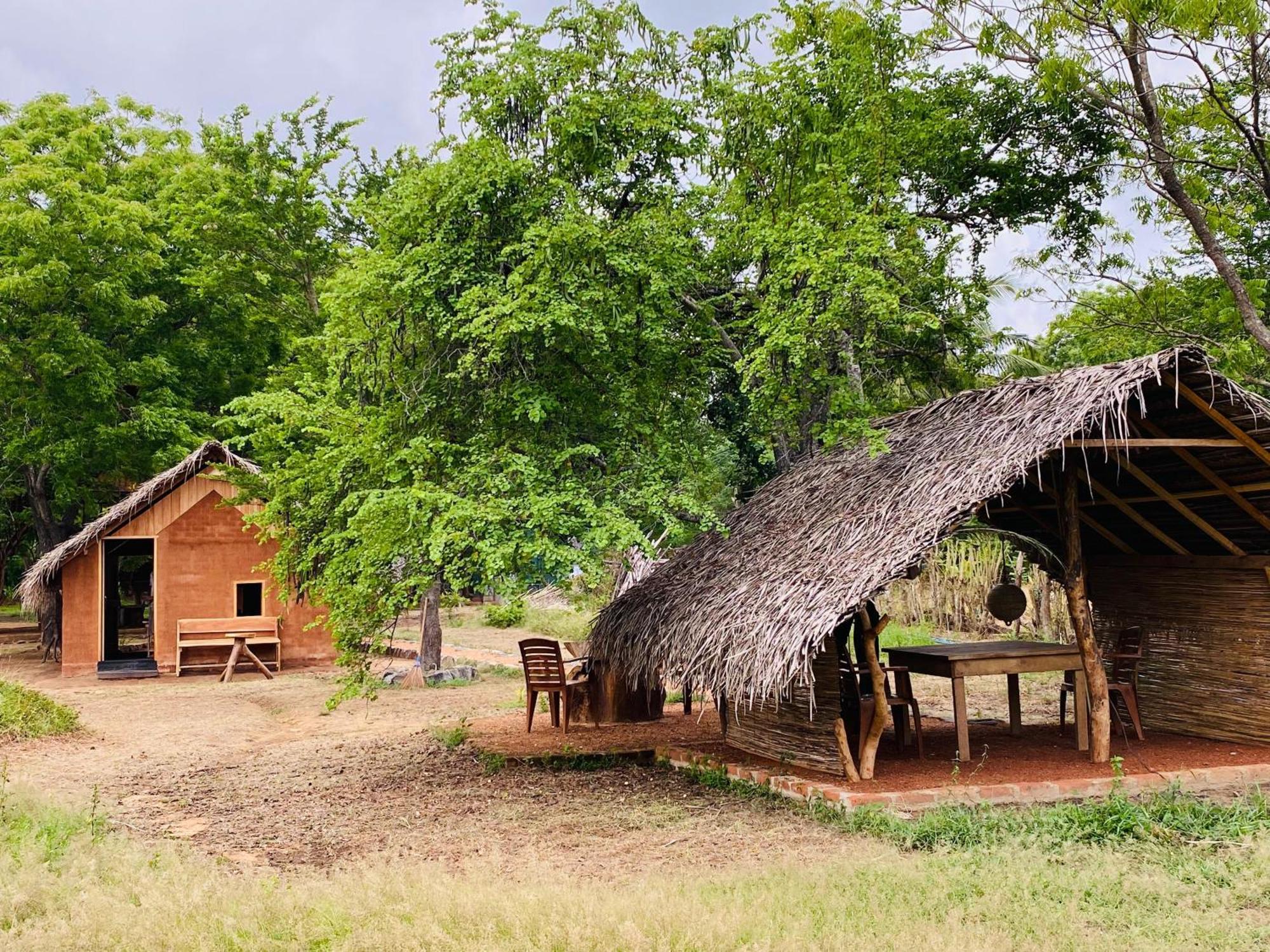 Yala Village Eco Tree House ทิซซามาฮารามา ภายนอก รูปภาพ