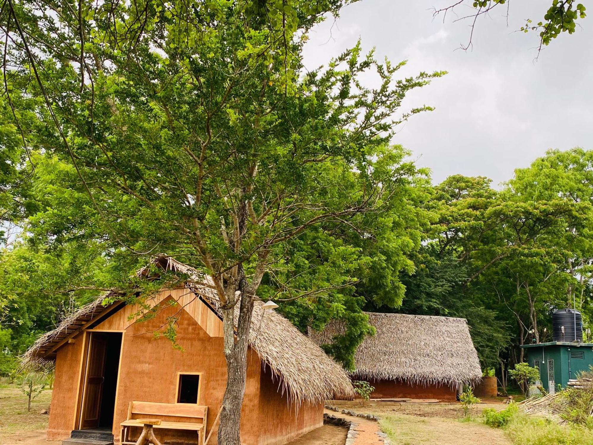 Yala Village Eco Tree House ทิซซามาฮารามา ภายนอก รูปภาพ